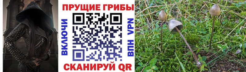 Галлюциногенные грибы GOLDEN TEACHER OMG ссылки Красный Сулин